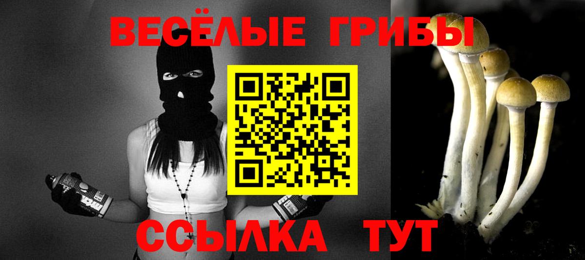 Майский  Галлюциногенные грибы Cubensis  Вход с VPN  Галлюциногенные грибы Magic Shrooms 